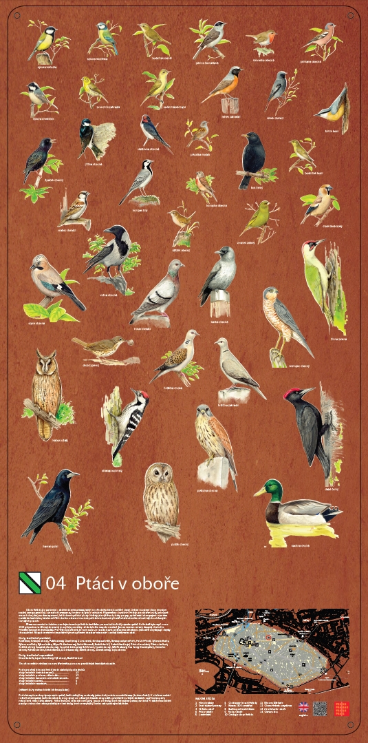 Information board No.4 - Birds in the Game-Preserve
