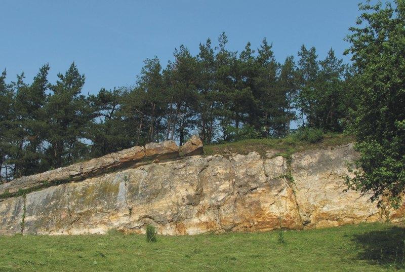ilustrační foto (Přírodní park Říčanka) 6