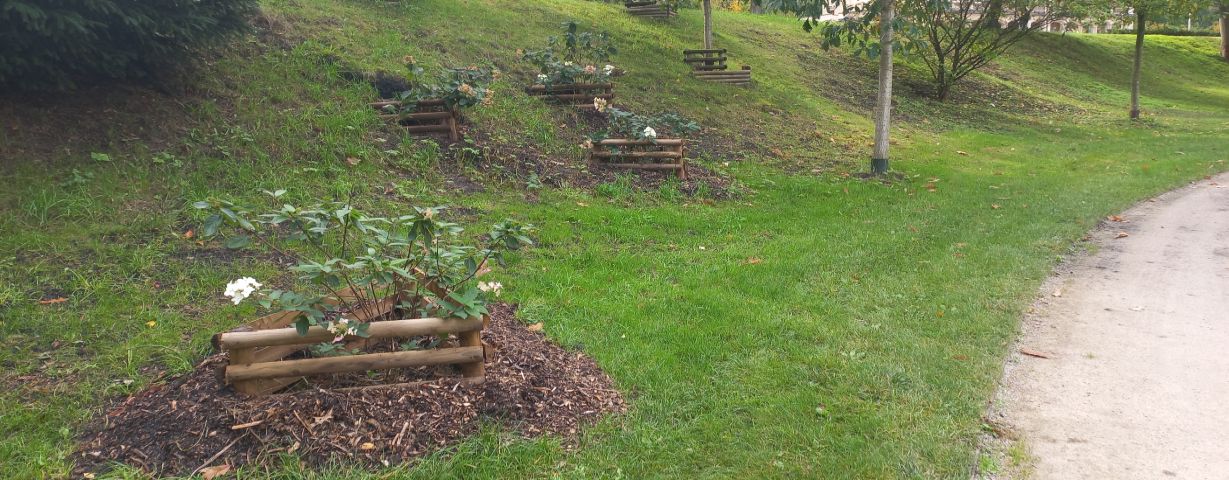 Stromovka-vysadby-2024-25-ilufoto-1229px