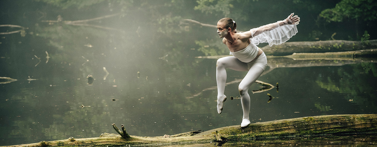 NB250002_PTACI(vystava)_Image_1229x480px