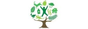 banner_iyf2011_jpg