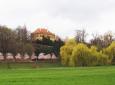 1700100_ko_duben2004_179_res_jpg
