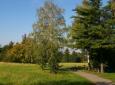1726361_hostiv_louky_2007zari_800_jpg