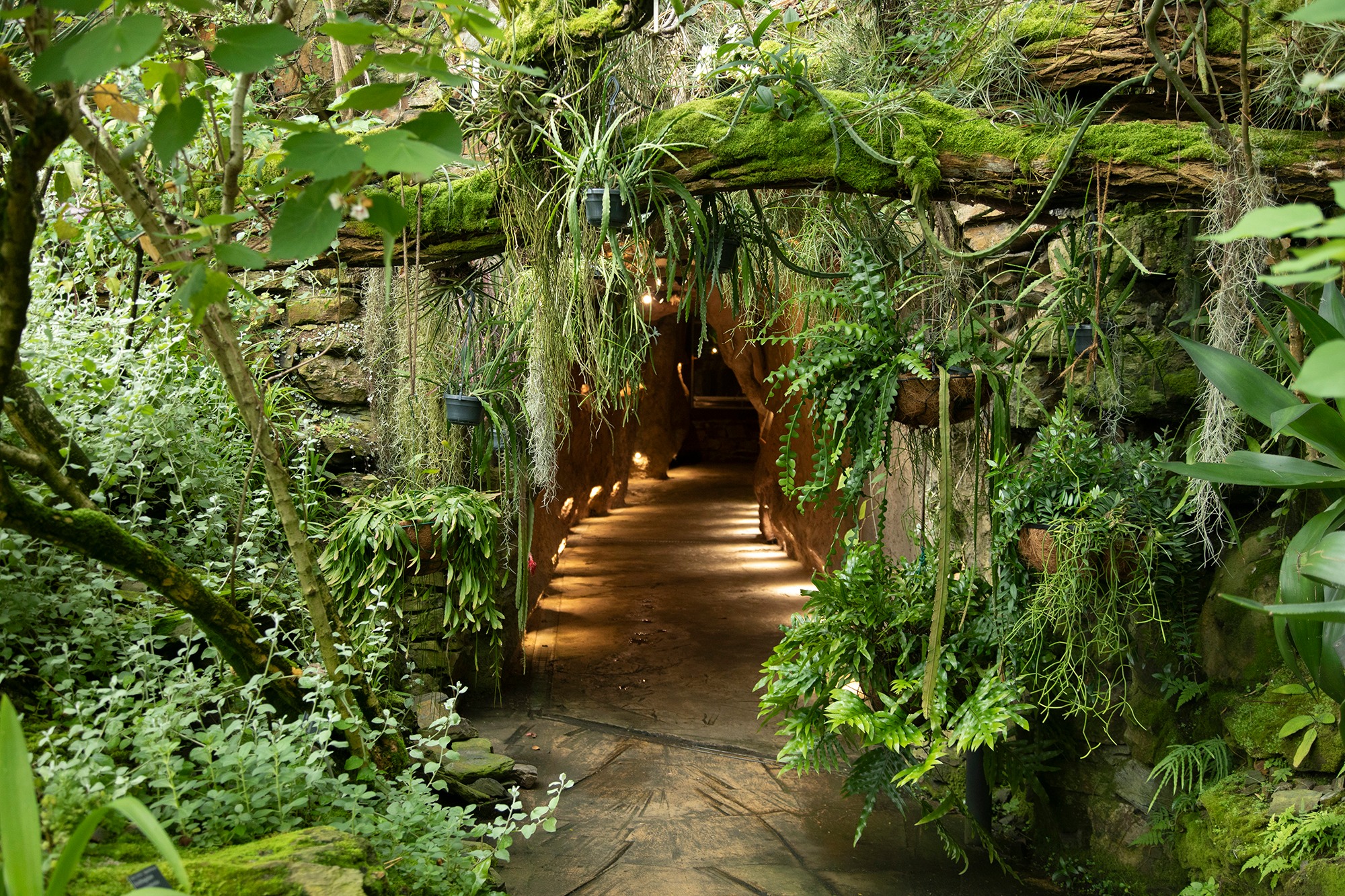 Ve skleníku Fata Morgana