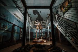 Chlupáčovo muzeum historie Země