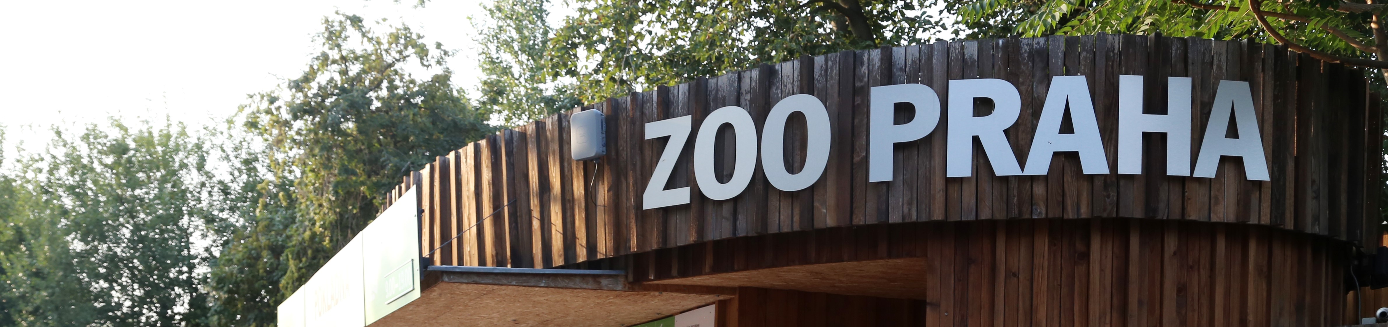 zoo