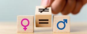 Plán genderové rovnosti