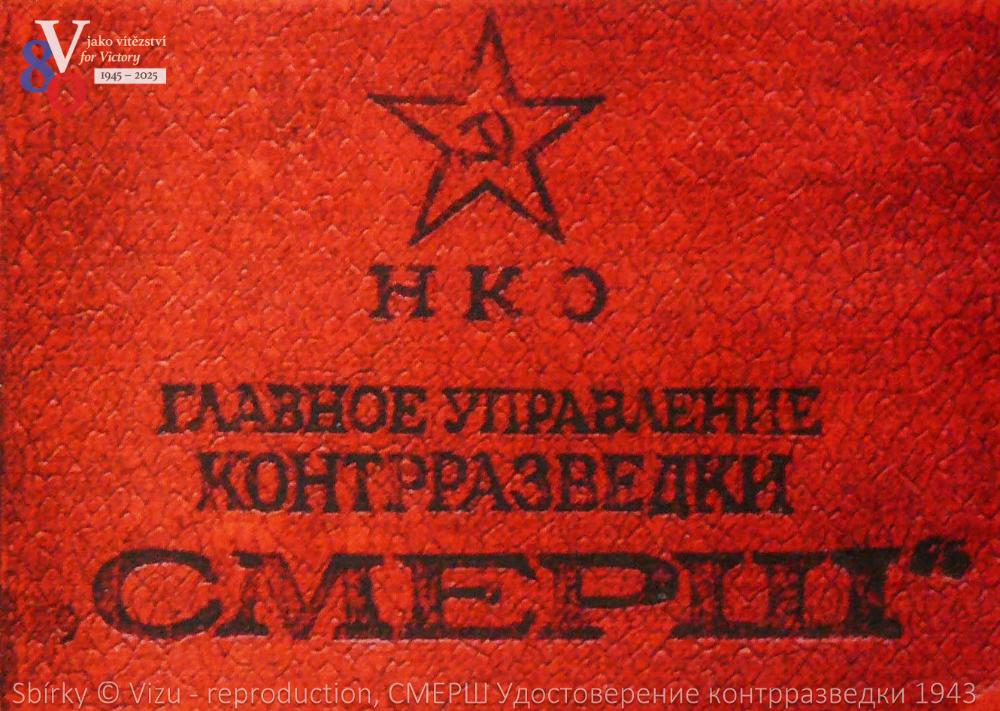 Panel 6b_08