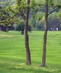 Součástí přírodního parku je jedno z nejstarších golfových hřišť v Čechách