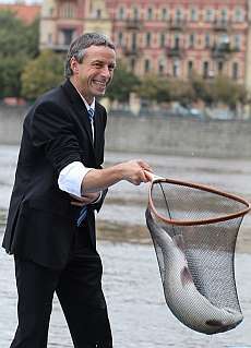 Fish Festival 2010.jpg